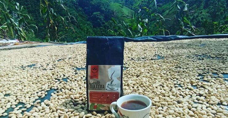 Coffe Tour: Land Rover Adventure, With Harvest and Tasting. - Good To Know