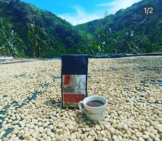 Coffe Tour: Land Rover Adventure, With Harvest and Tasting. - Overall Experience