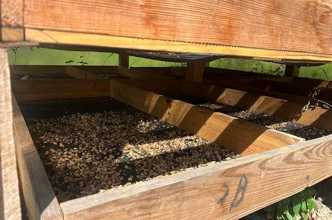 Coffee and Mountains with Personal Coffee Experience - Final Thoughts