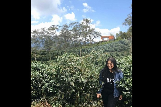Coffee & Cacao Private Experience From Quito - Logistics Details