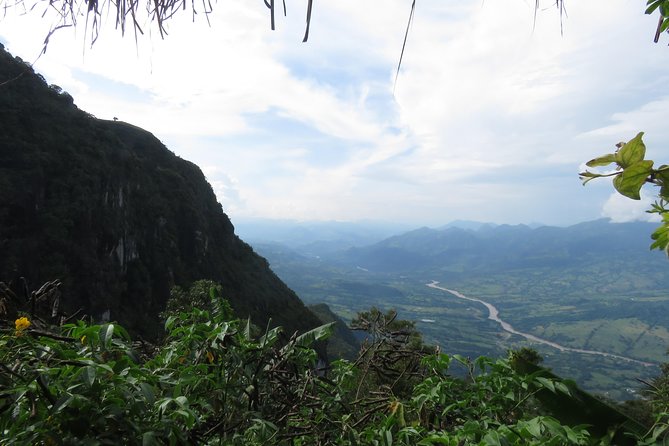 Coffee Culture Tour: a Visit to the Most Beautiful Coffee Farm in the World - Scenic Views: Rolling Coffee Hills