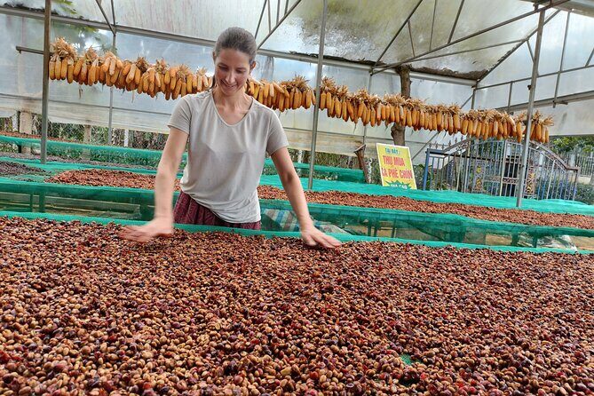 Coffee Experience _From Farm to Cup by Elon Farm - Good To Know