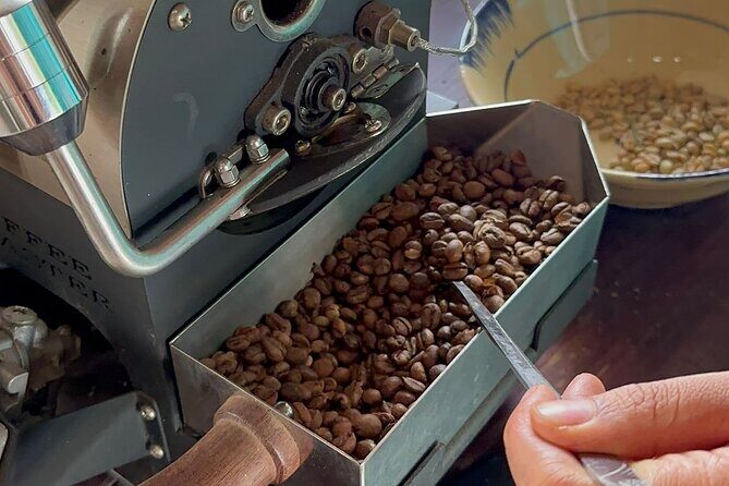 Coffee Experience _From Farm to Cup by Elon Farm - Practical Aspects and Value