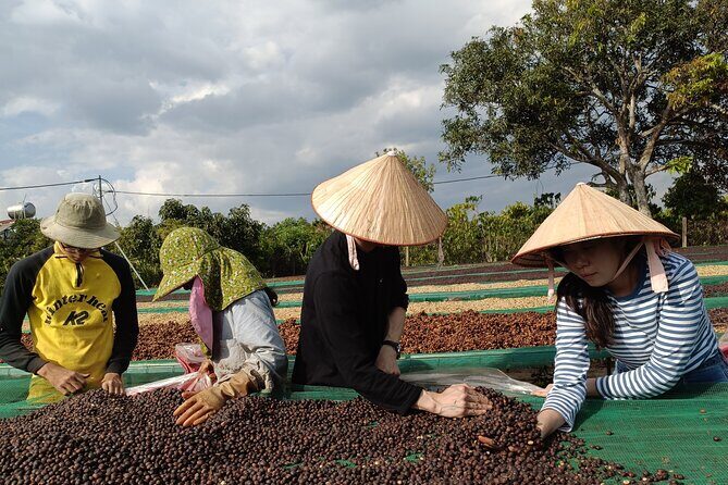 Coffee Experience _From Farm to Cup by Elon Farm - Who Should Consider This Tour?
