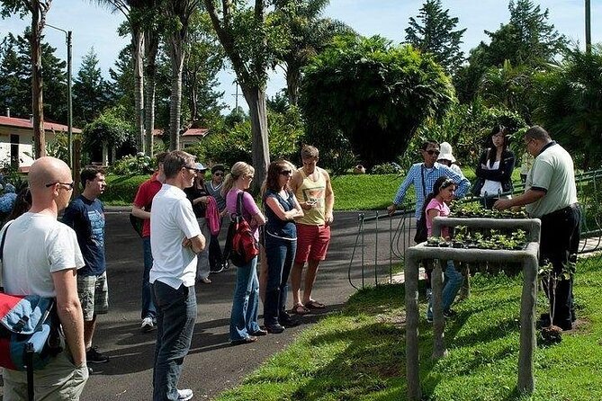 Coffee Experience and Poas Volcano Half Day Trip From San Jose - Feedback and Responses