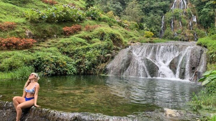 Coffee Farm and Santa Rosa Hot Springs From Pereira/Armenia - Tour Overview