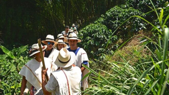 Coffee Farm and Santa Rosa Hot Springs From Pereira/Armenia - Full Itinerary Details