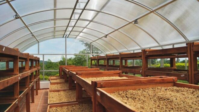 Coffee Farm and Santa Rosa Hot Springs From Pereira/Armenia - Activity Booking and Cancellation