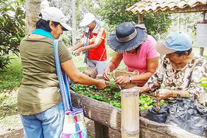Coffee Farm Experience at Finca El Ocaso From Salento - What To Bring and Wear