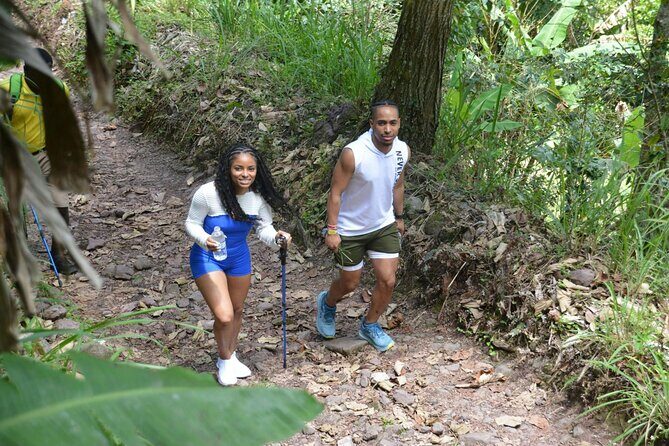 Coffee Farm Hike Through Jamaica Blue Mountains from Ocho Rios - The Sum Up