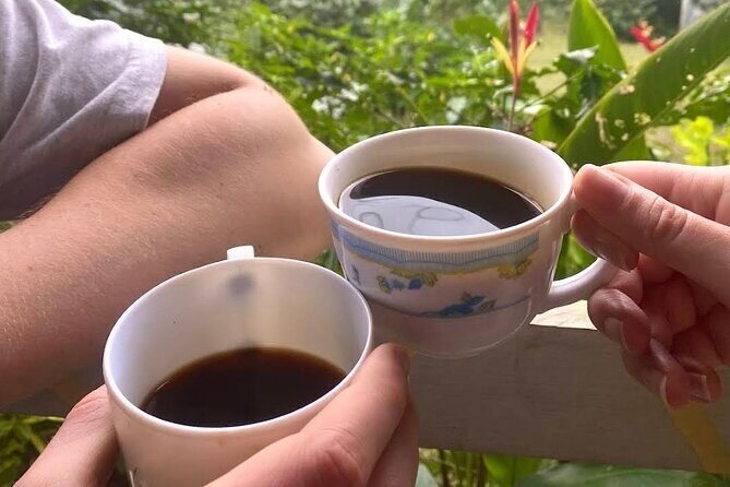 Coffee Farm Tour from Port Antonio - Good To Know