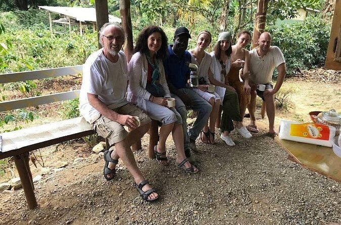 Coffee Farm Tour from Port Antonio - Who Will Love This Tour?