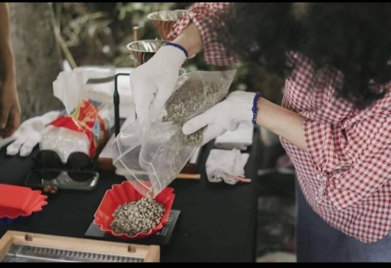 Coffee Farm Tour That Give Experience of Coffee. - Booking Information