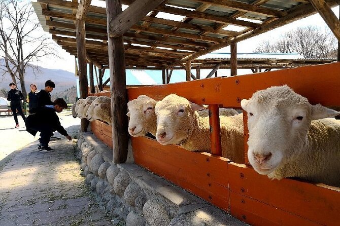 Coffee Festival in Gangneung South Korea - Featured Coffee Exhibitors