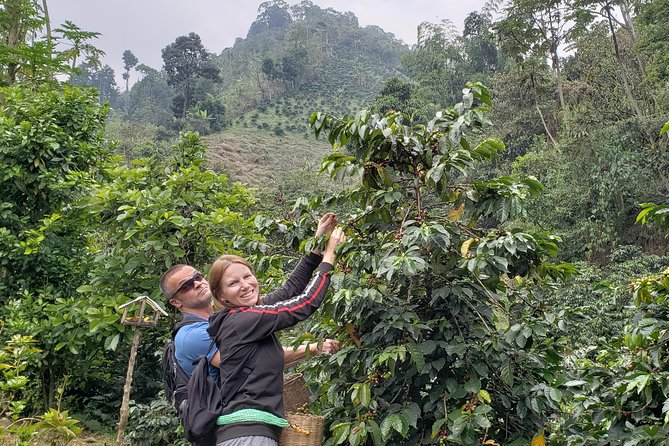 Coffee Lovers Express Coffee Tour - Tour Experience