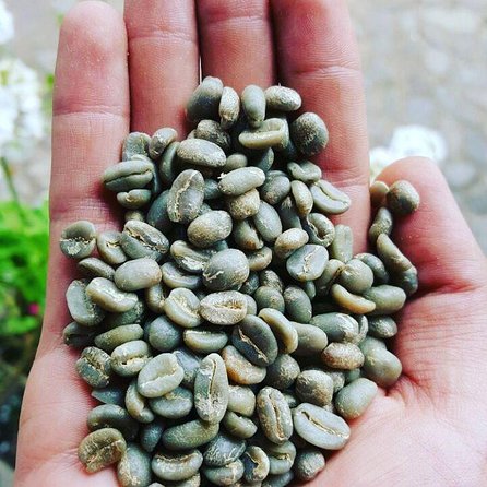 Coffee Lovers Express Coffee Tour - Inclusions and Highlights