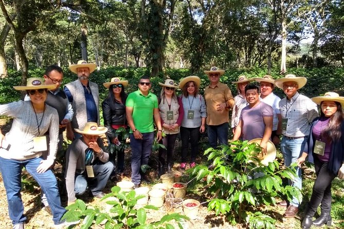 Coffee Museum and Coffee Tour, the Perfect Place for Coffee Lovers - The Sum Up