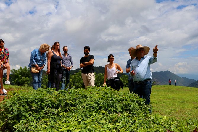 Coffee Night Plan 2D/1N -2H to Medellin-Real Coffee Experience! - Whats Included