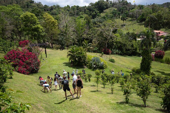 Coffee Plantation and River with Waterfalls in Puerto Rico - A Deep Dive into the Experience