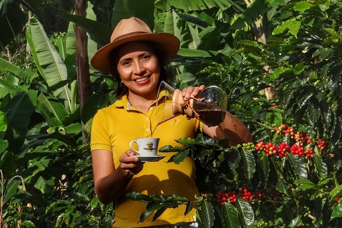 Coffee Plantation Small-Group Tour  - Pereira - Tour Highlights