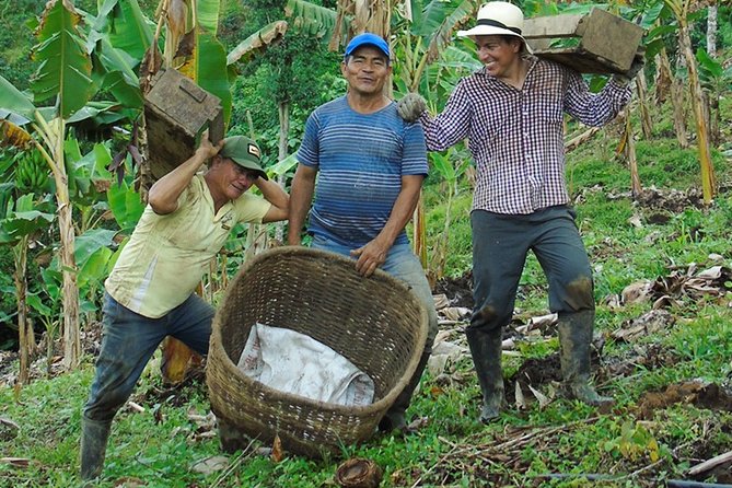 Coffee Plantation Small-Group Tour  - Pereira - Inclusions and Experiences