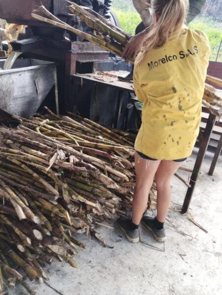 Coffee Region Colombia: Authentic Coffee Experiences - Additional Highlights and Recommendations