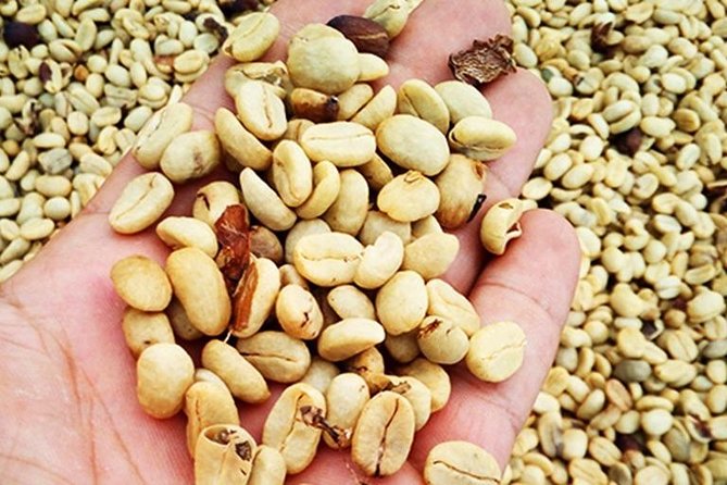 Coffee Road Excursion : Plantation, Processes, Tasting and More - Good To Know