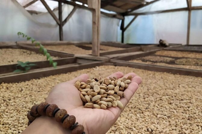 Coffee Road Excursion : Plantation, Processes, Tasting and More - What To Bring