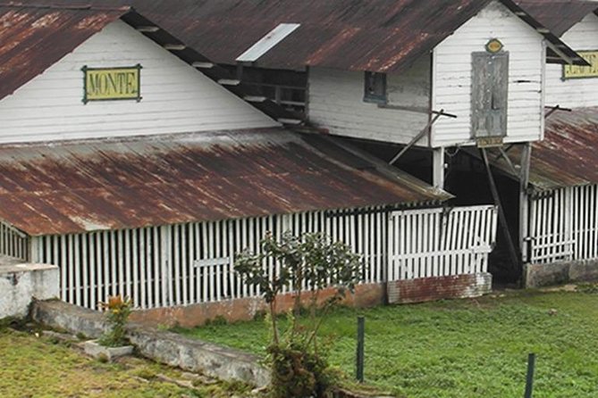 Coffee Road Excursion : Plantation, Processes, Tasting and More - Pickup Information