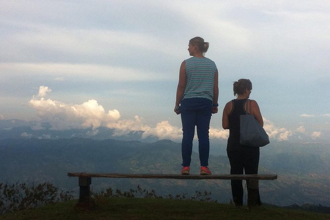 Coffee Tour: A Flavorsome Morning Experience - Coffee Tasting Experience