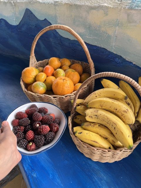 Coffee Tour in Garden Antioquia - From Medellín - Activity Details and Logistics