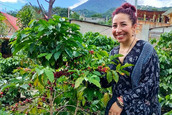 Coffee Tour in Lake Atitlán - Maximum Travelers and Accessibility