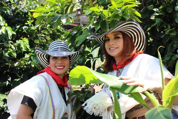 Coffee Tour in Medellin With Transportation and Meals - Coffee Production Experience