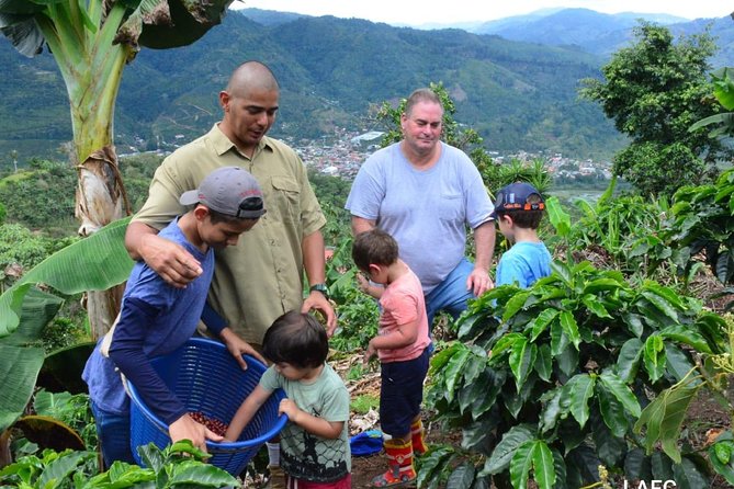 Coffee Tour Los Sauces - Tour Overview