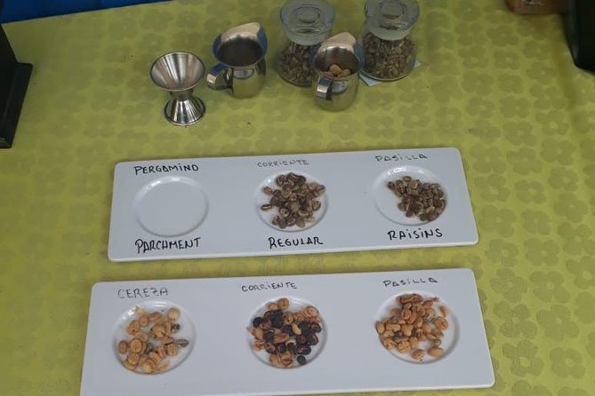 Coffee Tour Medellin - Booking & Cancellation