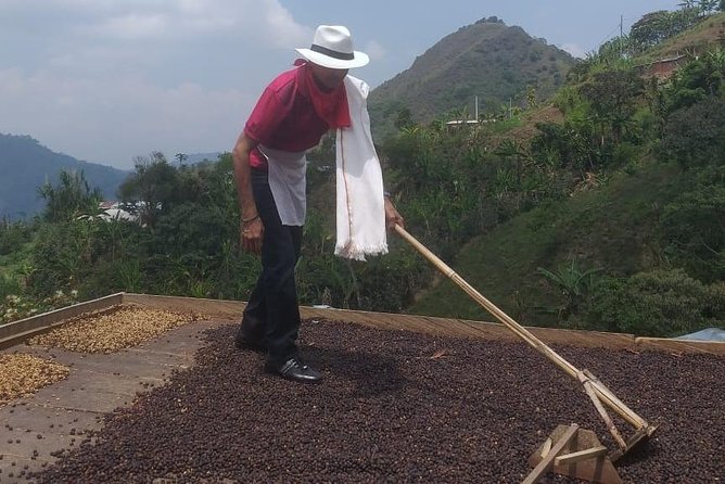 Coffee Tour Medellin - Additional Info