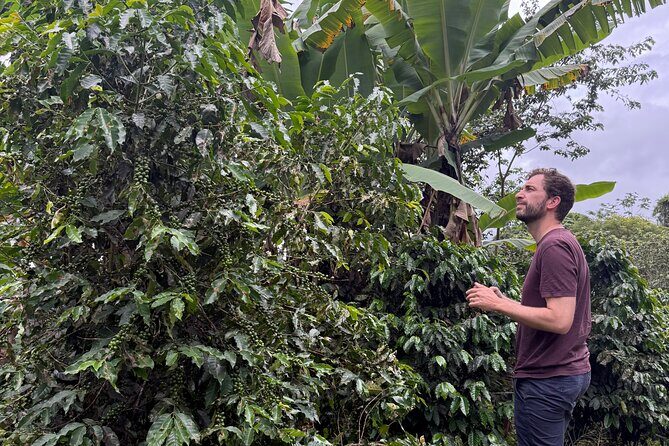 Coffee & Waterfalls Tour: from the mountains to the cup - FAQ