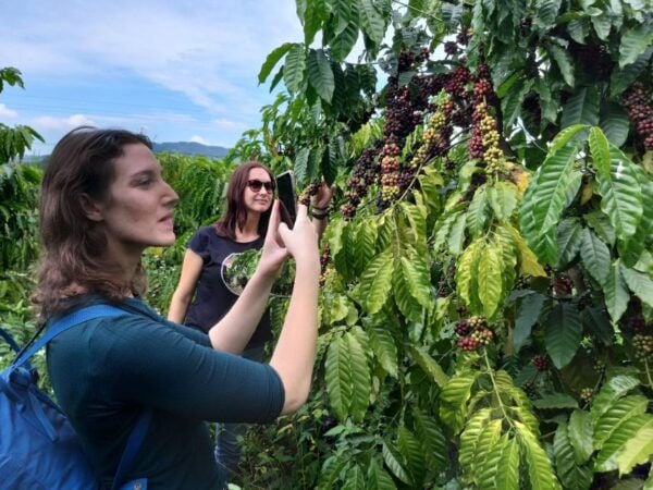 Coffee - Wine - Tea Da Lat's Agricultural Treasures Tour - Reviews and Recommendations