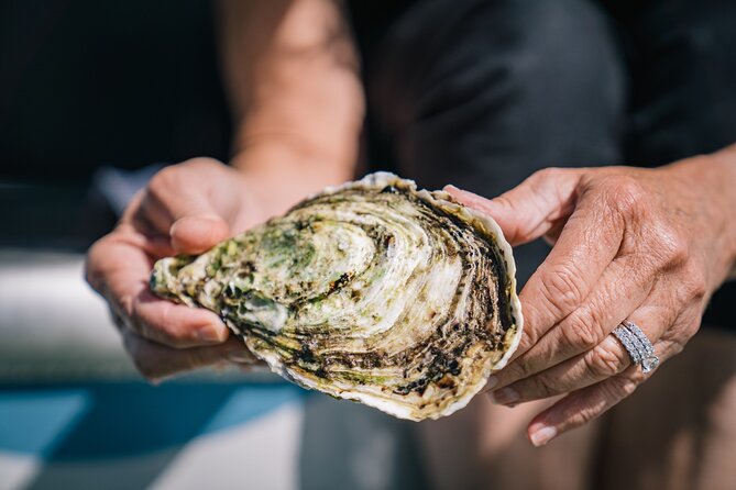 Coffin Bay Day Tour - A Taste of Coffin Bay - The Sum Up