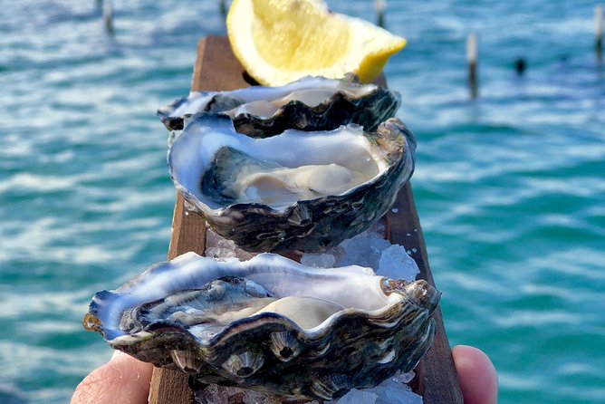 Coffin Bay Oysters, Ocean & Nature Tour - Overview