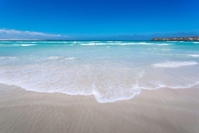 Coffin Bay Oysters, Ocean & Nature Tour - Additional Information
