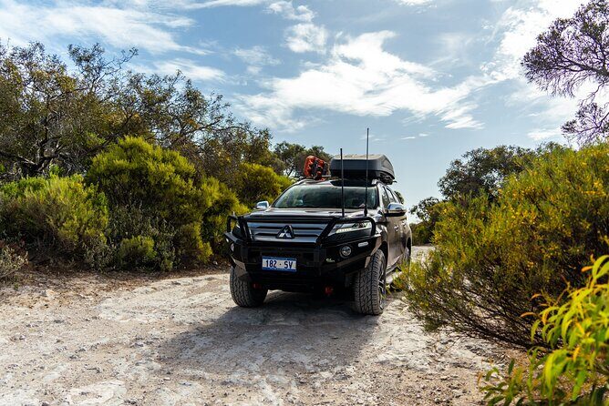 Coffin Bay Tour with Oyster Shucking and Off Road Adventure - Insights from Reviews: What Travelers Appreciate Most