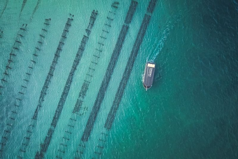 Coffin Bay with Fabulous Oyster Tour from Port Lincoln - From Port Lincoln to the Oyster Lease