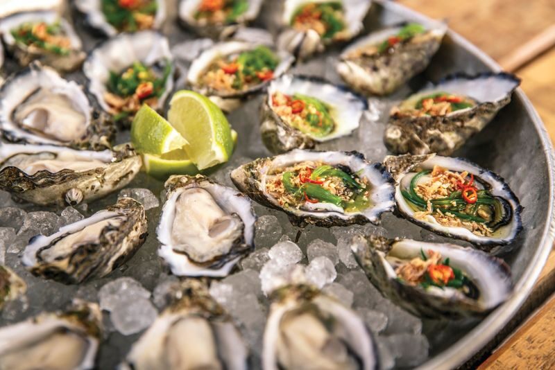 Coffin Bay with Fabulous Oyster Tour from Port Lincoln - Boston Bay Wines Above Port Lincoln