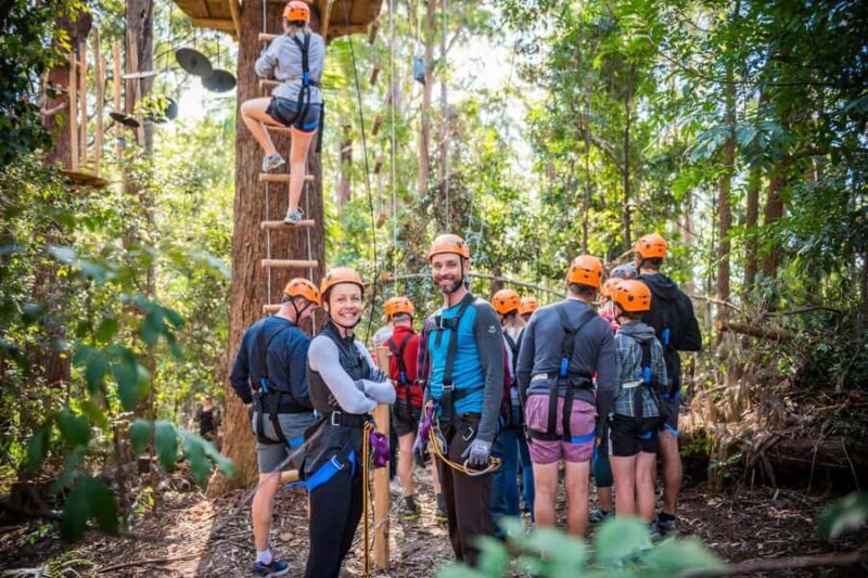 Coffs Harbour: Treetops Adventure Tree Ropes Course - Good To Know