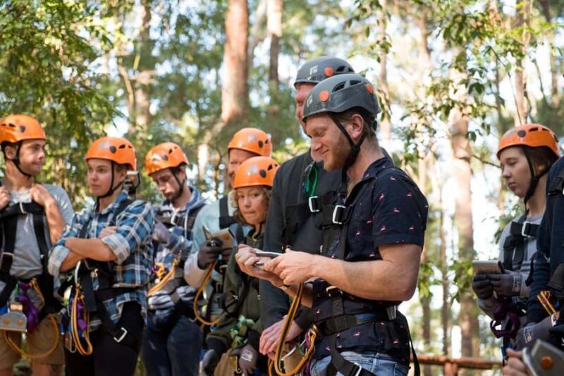 Coffs Harbour: Treetops Adventure Tree Ropes Course - What to Expect from the Treetops Adventure Course