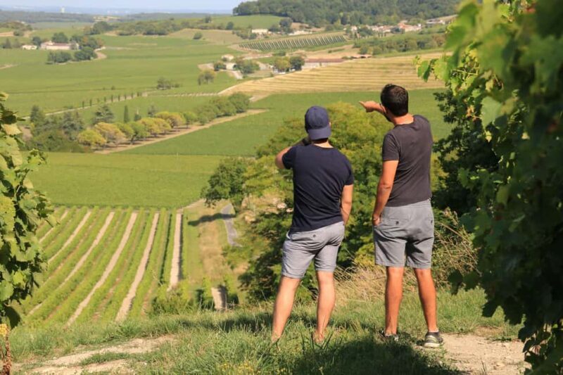Cognac: 4x4 vineyard tour and cocktail - Good To Know