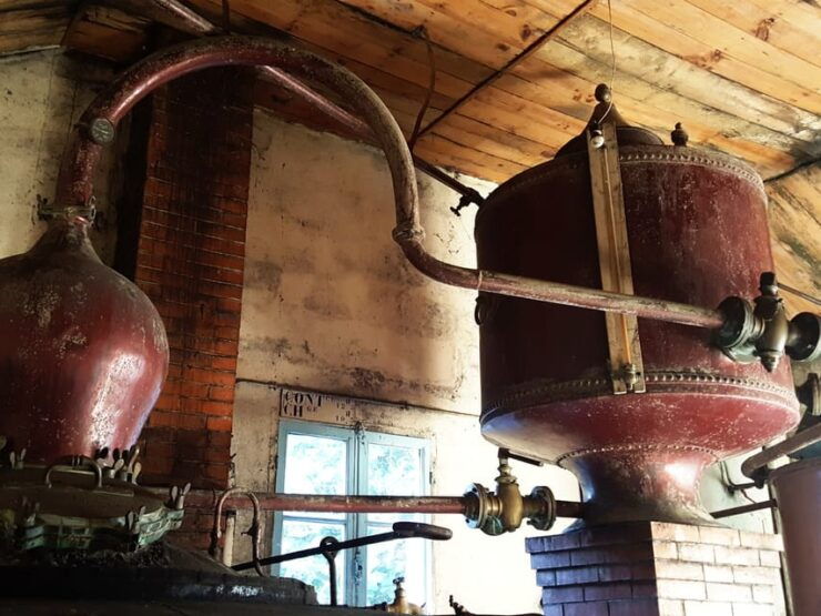 Cognac Distillery and Bordeaux Winery: Private Tour - Highlights of the Experience
