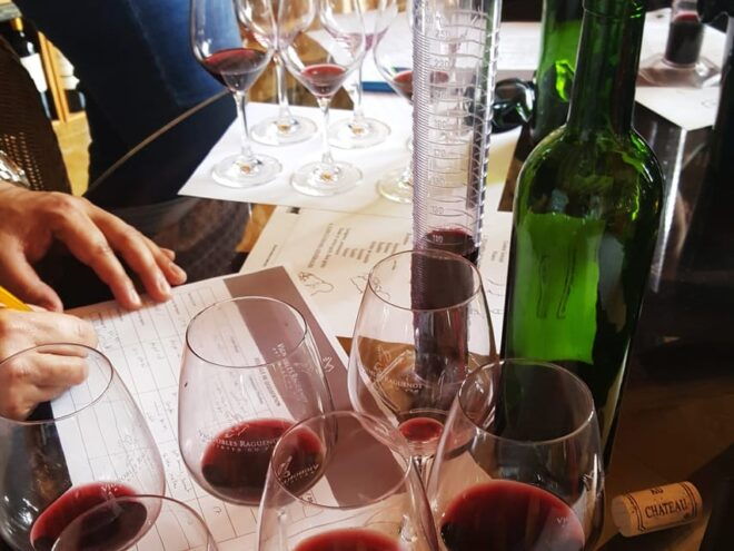 Cognac Distillery and Bordeaux Winery: Private Tour - Wine Tasting Workshop