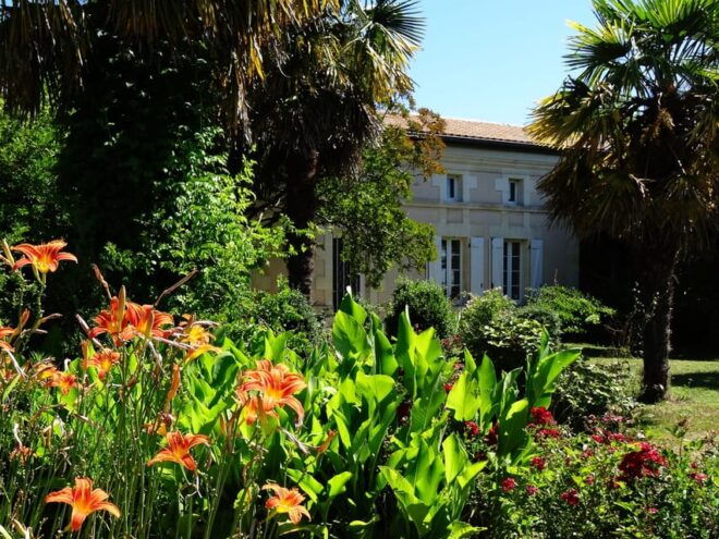 Cognac Distillery and Bordeaux Winery: Private Tour - Cognac Distillery Visit
